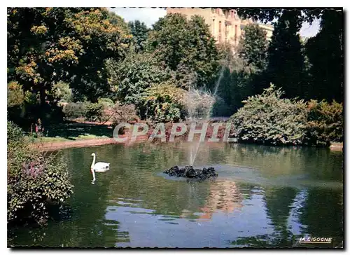 Cartes postales moderne Vichy Allier Reine des ville d'Eaux Dans les Grands Parcs le bassin des Cygnes