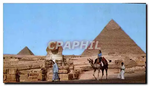 Cartes postales moderne Giza The Great Sphinx and pyramid