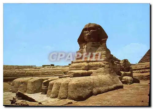 Cartes postales moderne Giza The Famous Sphinx of Giza