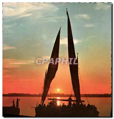 Cartes postales moderne Le Caire Coucher de Soleil sur le Nil