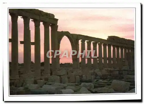 Cartes postales moderne Egypte