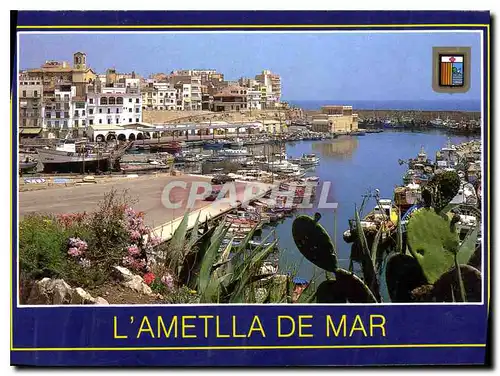 Cartes postales moderne L'Ametlla de Mar Tarragona vue generale port