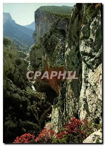 Cartes postales moderne Paysage de France Gorges du Verdon Var Alpes de Haute Provence un des plus beaux sites du monde