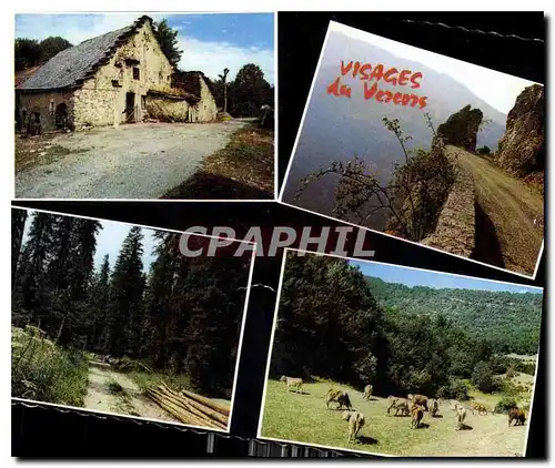 Cartes postales moderne Les Alpes du Dauphine Le Vercors