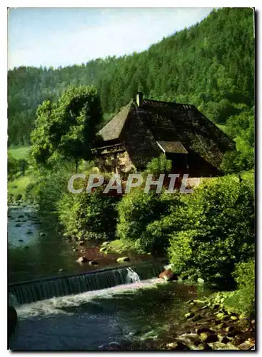 Cartes postales moderne Schwarzwald Altes Schwarzwaldhaus bei Neiderwasser im Gutachtal