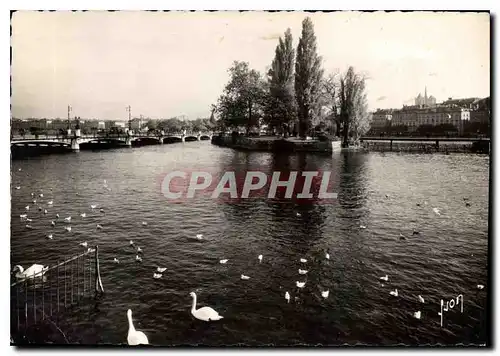 Cartes postales moderne Geneve Suisse