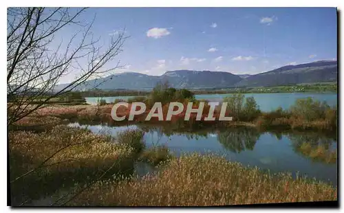 Cartes postales moderne Reserve naturelle de Champittet Yverdon