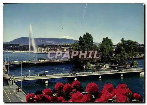 Moderne Karte Geneve Le pont des Bergues et l'Ile Rousseau