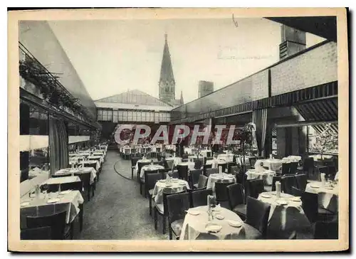 Cartes postales moderne Dachgarten Berlin Hardenbergstrasse am Zoo