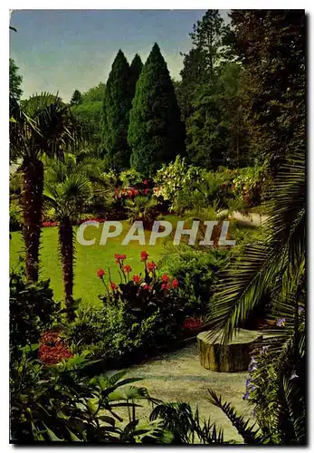 Cartes postales moderne Ile de Mainau au Lac de Constance vue de la palmiere vers le parc
