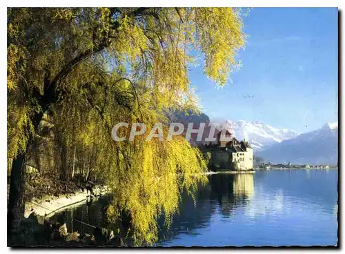 Cartes postales moderne Chateau de Chillon et les Dents du Midi