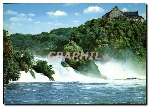 Cartes postales moderne Bodensee Rheinfall bei Schaffhauen