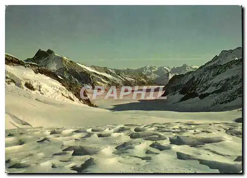 Cartes postales moderne Jungfaujoch Aletschgletscher Gabelhorn und Monteleone