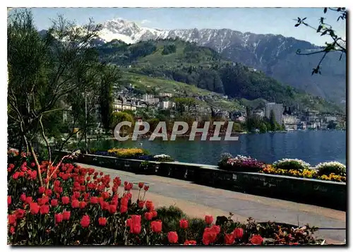 Cartes postales moderne Montreux Clarens les quais fleuris