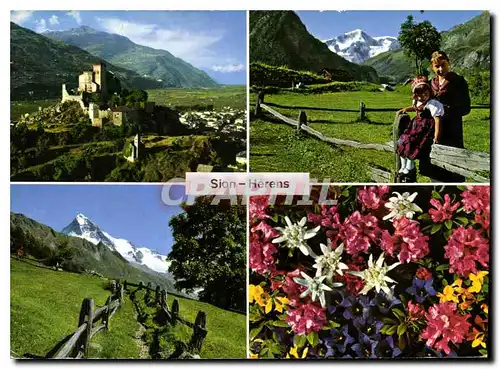 Moderne Karte Sion Val d'Herens Fleurs des Alpes