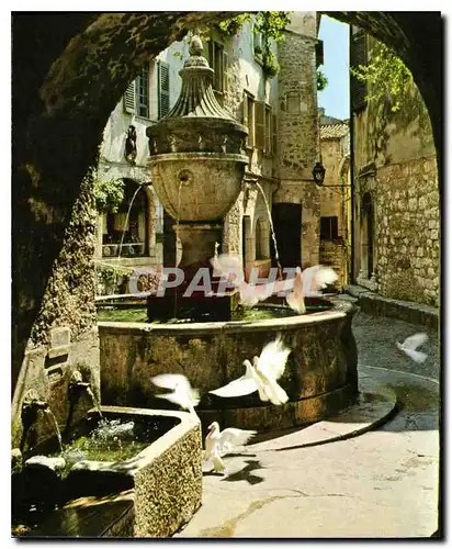 Cartes postales moderne Cote d'Azur French Riviera Saint Paul Alpes Maritimes colombes devant la fontaine provencale