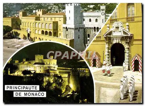 Cartes postales moderne Principaute de Monaco le Palais et la Releve de la Garde