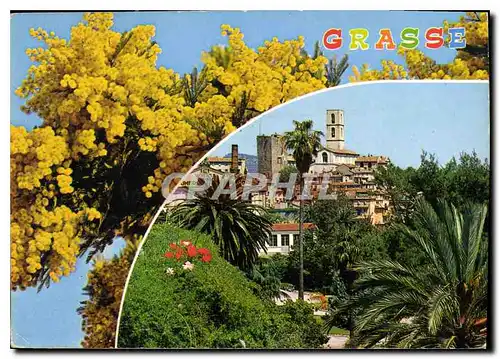 Cartes postales moderne Cote d'Azur French riviera Grasse Alpes Maritimes Cite des Fleurs capital des Parfums