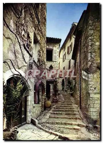 Cartes postales moderne Reflets de la Cote d'Azur Saint Paul de Vence A Mmes la montee de l'Eglise