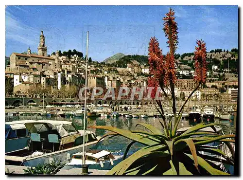 Moderne Karte Couleurs et lumiere de France la Cote d'Azur miracle de la nature Menton Alpes Maritimes le Port