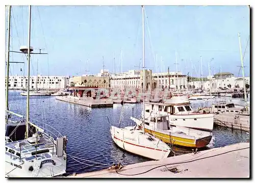 Cartes postales moderne Algerie