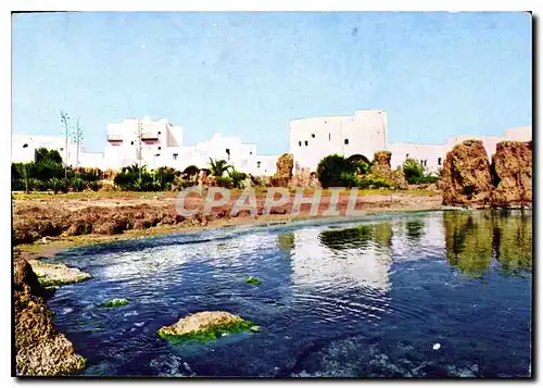 Cartes postales moderne Algerie Tipaza