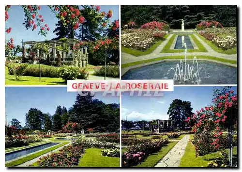 Cartes postales moderne Geneve la Roseraie