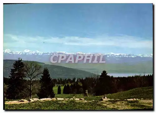 Cartes postales moderne Vue des Alpes