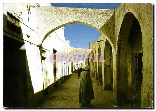 Cartes postales moderne El Oued Vue typique