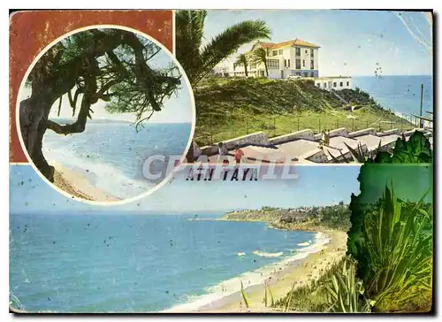 Cartes postales moderne Les Plages d'Alger Ain Taya