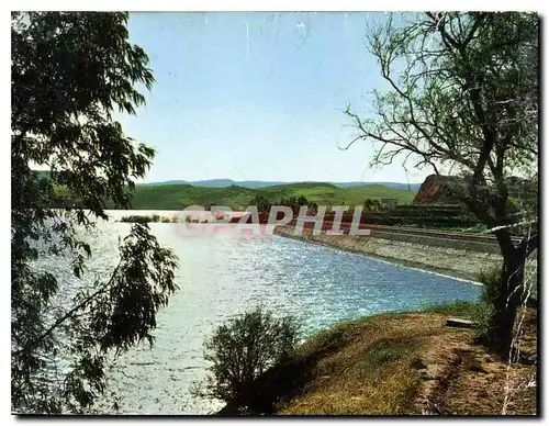 Cartes postales moderne Algerie
