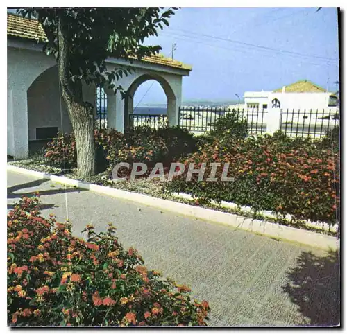 Cartes postales moderne Bungalow a Moretti