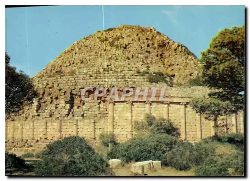 Cartes postales moderne Tipaza le tombeau de la chretienne