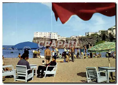 Cartes postales moderne Les Plages d'Alger Pointe Pescade
