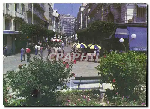 Moderne Karte Alger la Blanche Rue Larbi Ben M'hidi Algerie