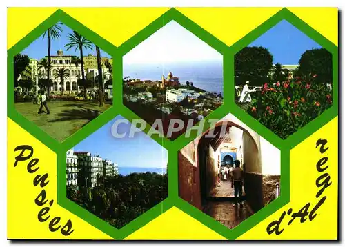 Cartes postales moderne Souvenir d'Alger