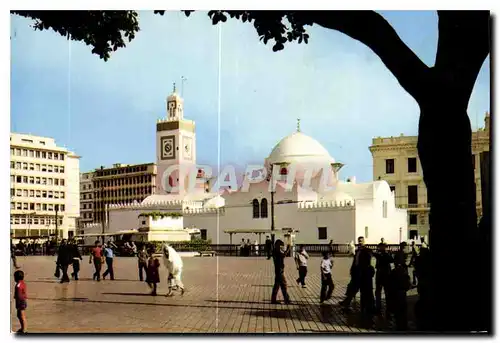 Cartes postales moderne Alger Place des Martyrs