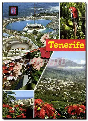 Cartes postales moderne Tenerife Divers aspects