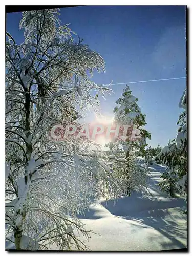 Moderne Karte L'Hiver dans les Alpes Jeux de lumiere sur la neige Fantaisie