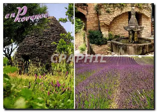 Cartes postales moderne Les Belles Images de Provence