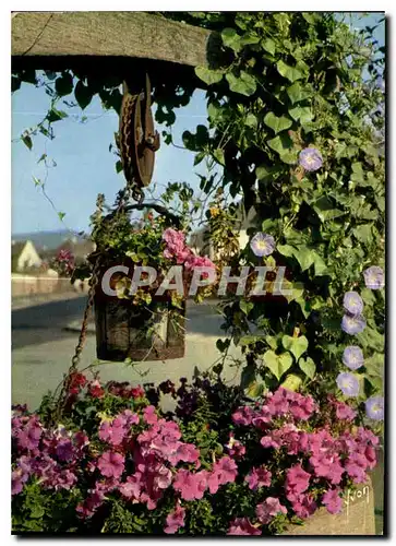 Cartes postales moderne Couleurs et Lumiere de France L'Alsace le vieux puits fleuri