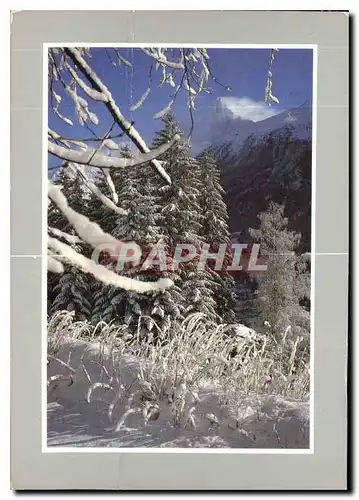 Cartes postales moderne Les joies de la neige