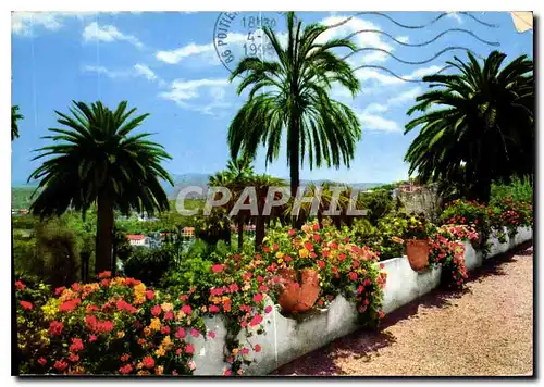 Cartes postales moderne Cote d'Azur et Provence Sa vegetation exotique