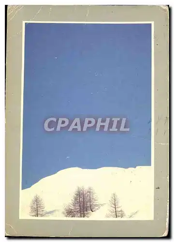 Cartes postales moderne Les joies de la neige