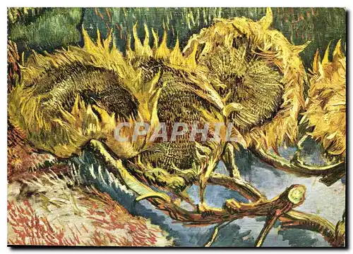Cartes postales moderne Vincent Van Gogh Quatre fleurs de toumesols Otterlo Rijksmuseum Kroller Muller