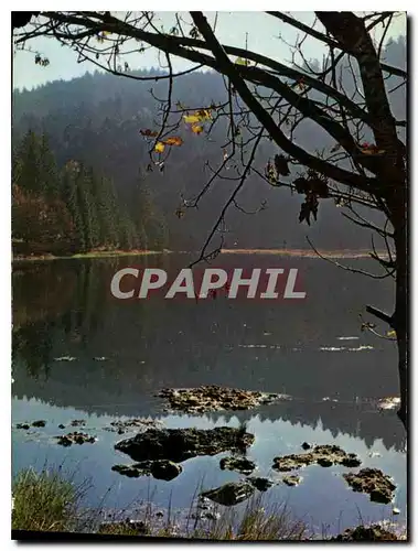 Cartes postales moderne Fantaisie