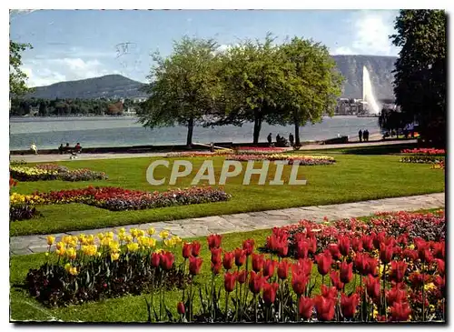 Cartes postales moderne Geneve le parc de la Perle du Lac
