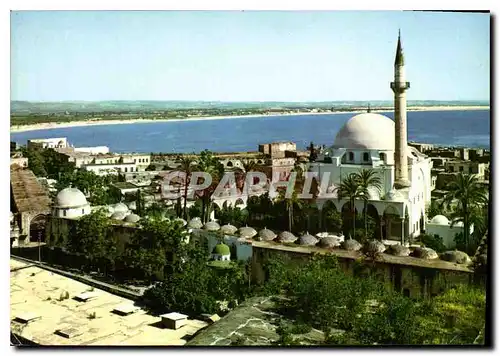 Cartes postales moderne Acre general view