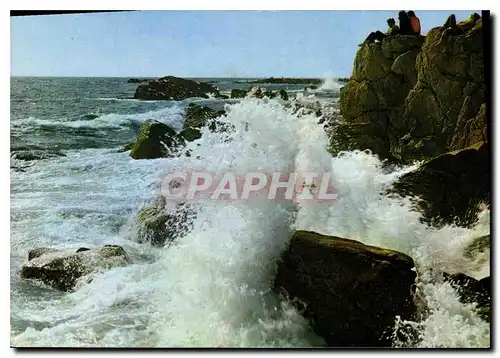 Cartes postales moderne Mer