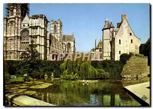 Cartes postales moderne Evreux le Cygnes sur l'Iton la Cathedrale et le Musee